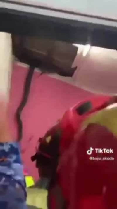Snake Removal