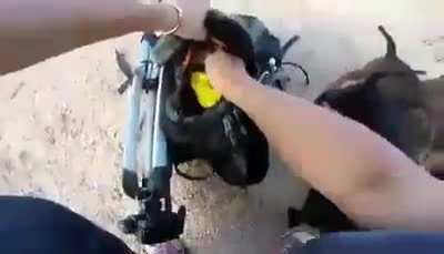 Motorcyclist goes for a stroll in highway