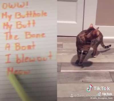 Meow