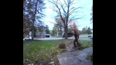 Mail man