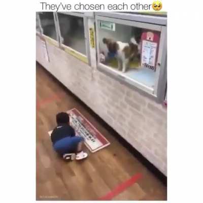 They've chosen each other ?