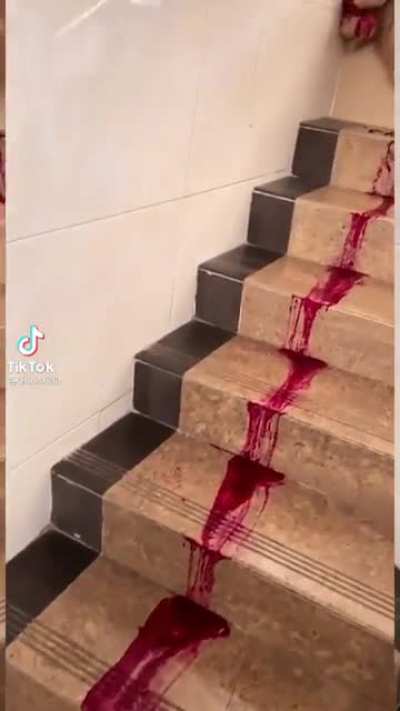 No more dragonfruit for the dog