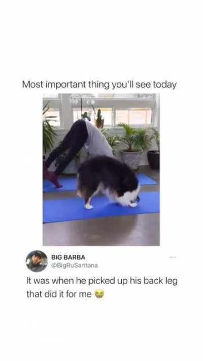 So adorable ?