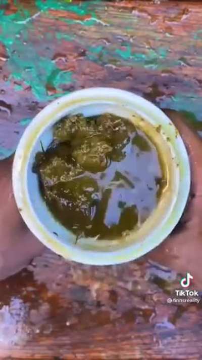 aaaaaaaaaaaaaand thats enough tiktok for today