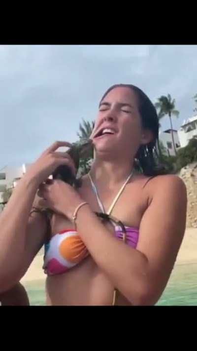 HMC while a reptile kisses me.