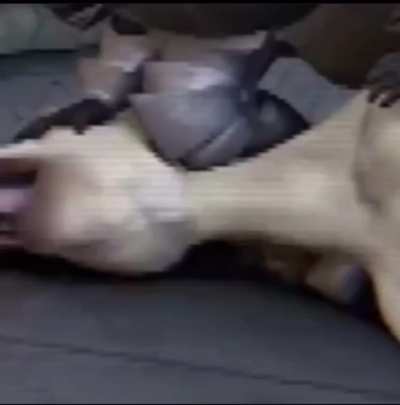 Ayo ?