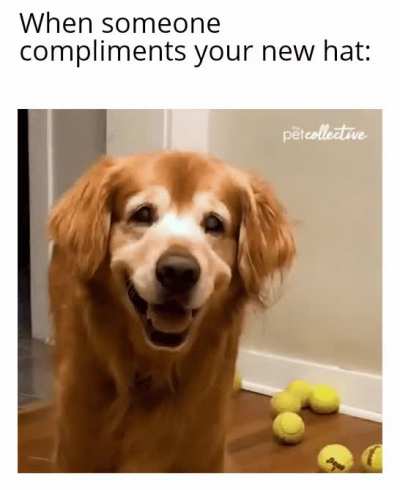 That's one good boi