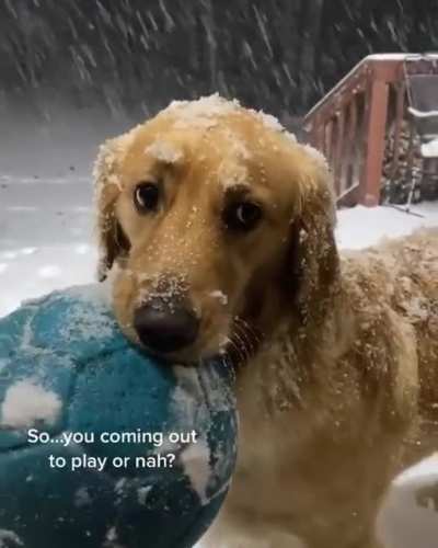 "Come out to play"
