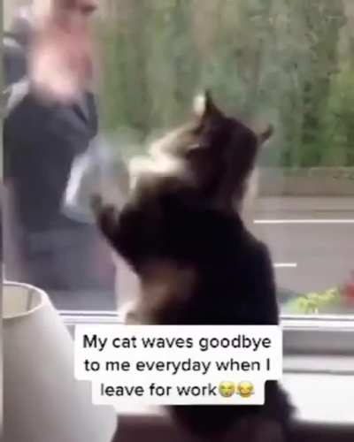 this made my day