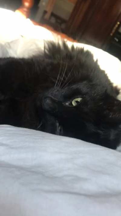 How can you say no to that face? ?