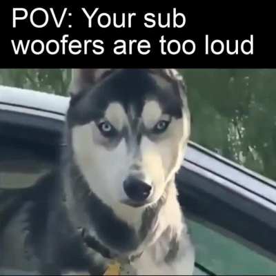 "Woofers" - yes Ive achieved comedy