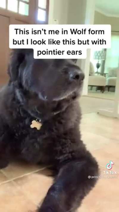 You can see his chin better.