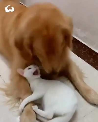 "I'm here for you, buddy."