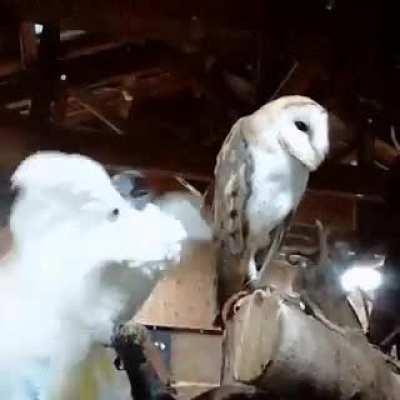 LET ME SING YOU THE SONG OF MY PEOPLE