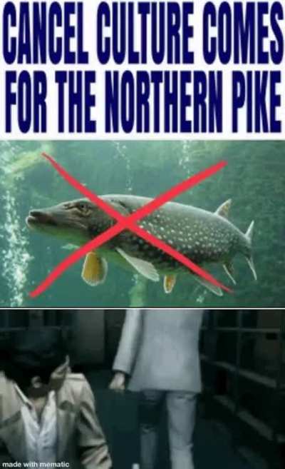 Damn not the northern pike :(