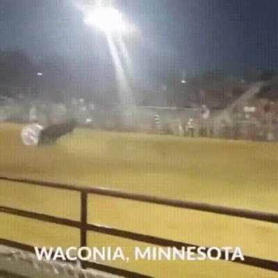 Wearing bubble suits and getting in the ring with a bull