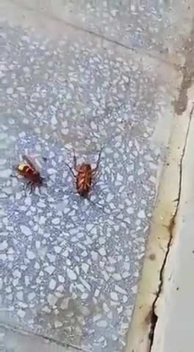 Woow...