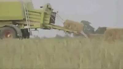 Unexpected hay