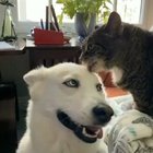 Best friends