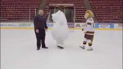 To stand on ice