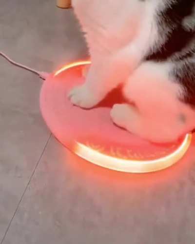 Becoming the Chosen One