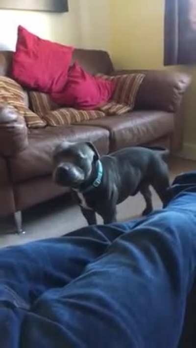 The sound of my girlfriends dogs burp makes me think he's not from this planet.