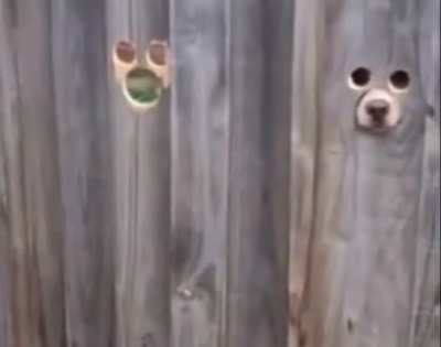 You have a funny feeling like you’re being watched.