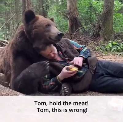 A bear refuses to eat a cheese burger