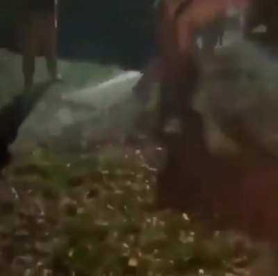 He Jumped into a Ring of Fire.. ??