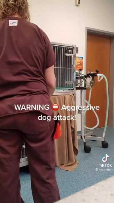 Warning aggressive dog!