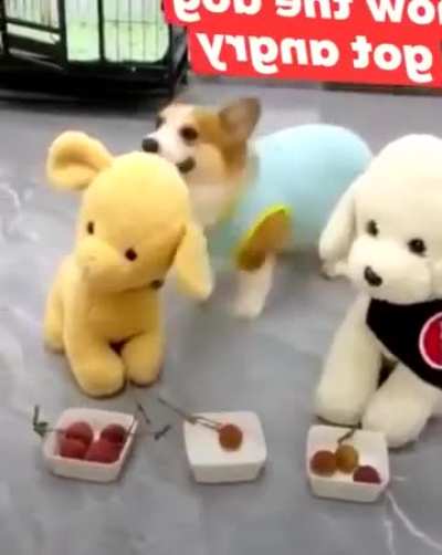How dare you!