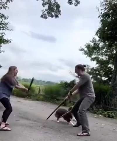 The last swords"dog" of the east.