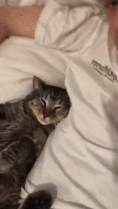 He woke up and chose violence
