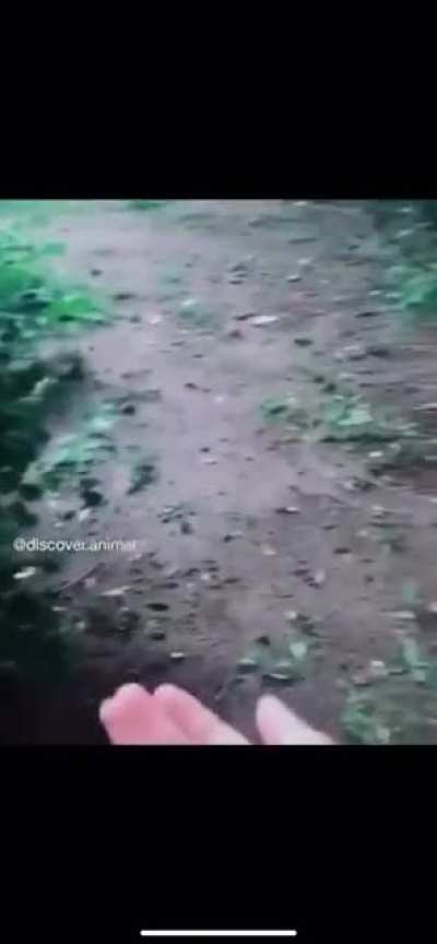 ? Small bird doesn’t want to leave