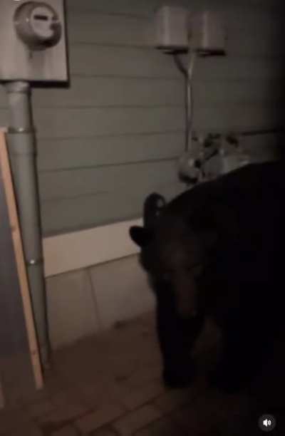 “I think the pizza guy is here…”
