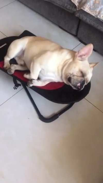 Snooze Dogg