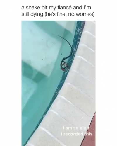 pool snakes ftl