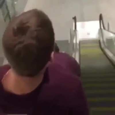Escalator monkey see, monkey do