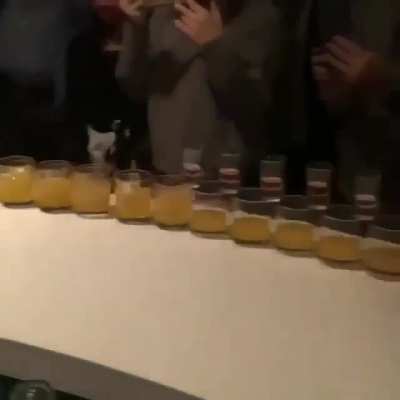 Dominos with shots