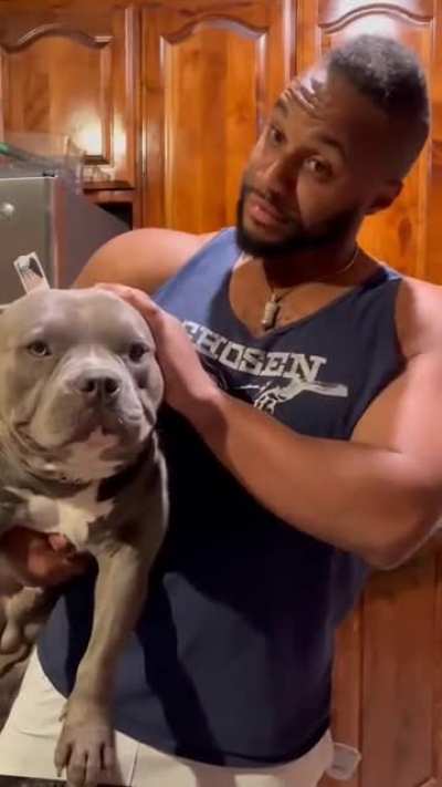 Not a thought running through that chonky head. Baloo is just happy to be. ??