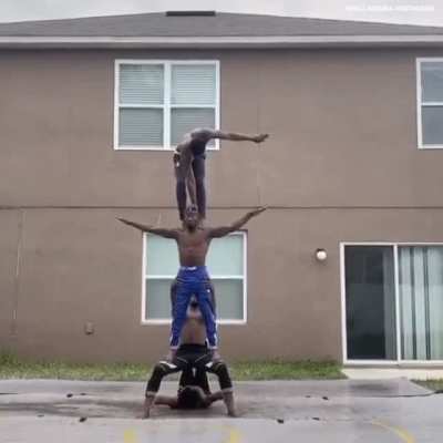 These gymnasts