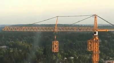 How a crane grows.