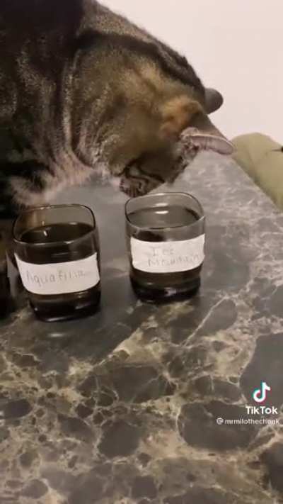 Bottled water taster