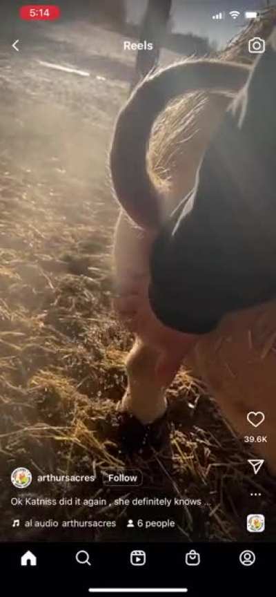 Why