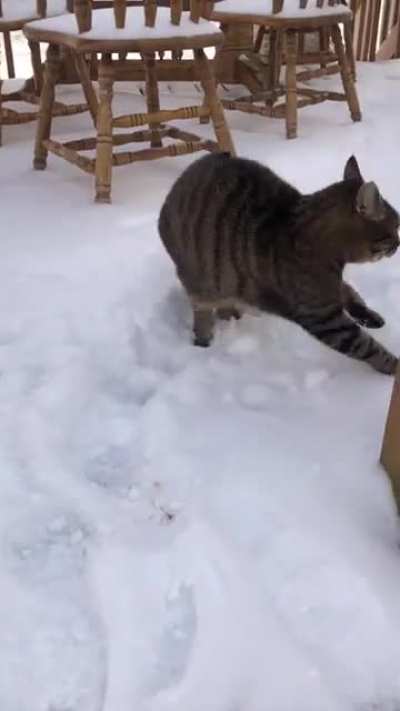 He mad about the snow