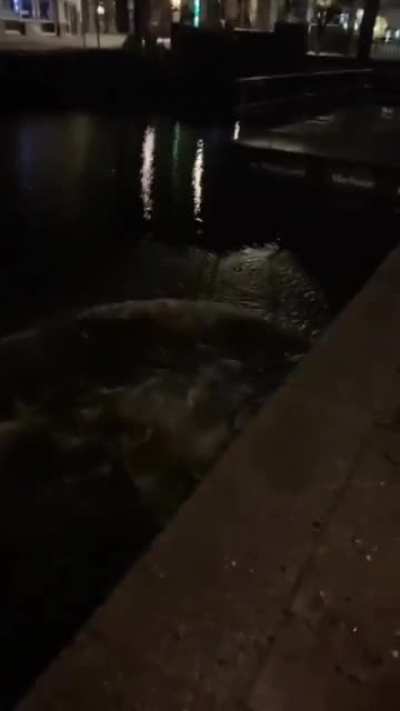 average night in Amsterdam
