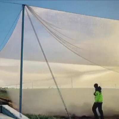 Watering crops with the night’s condensation
