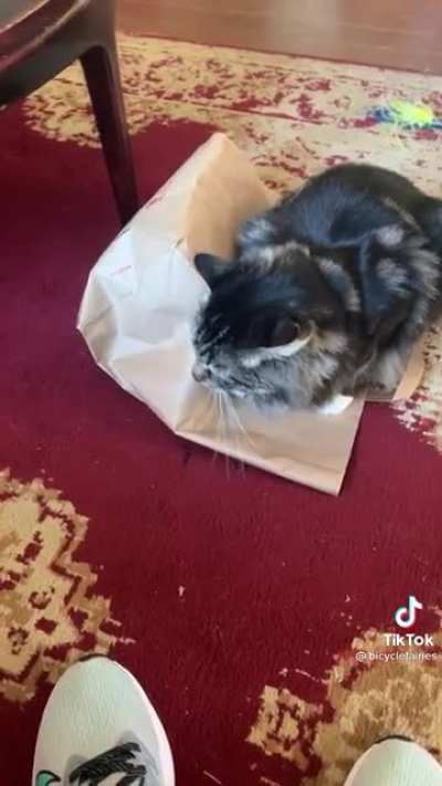Bob trapped Johnny in the bag…