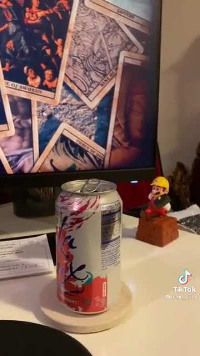 I never knew I wanted a bird, until this video.