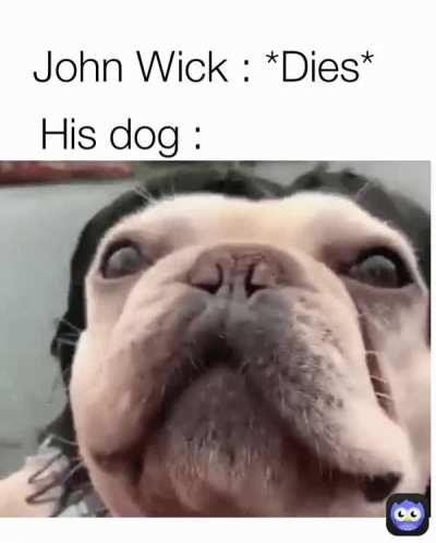 It was just a hooman